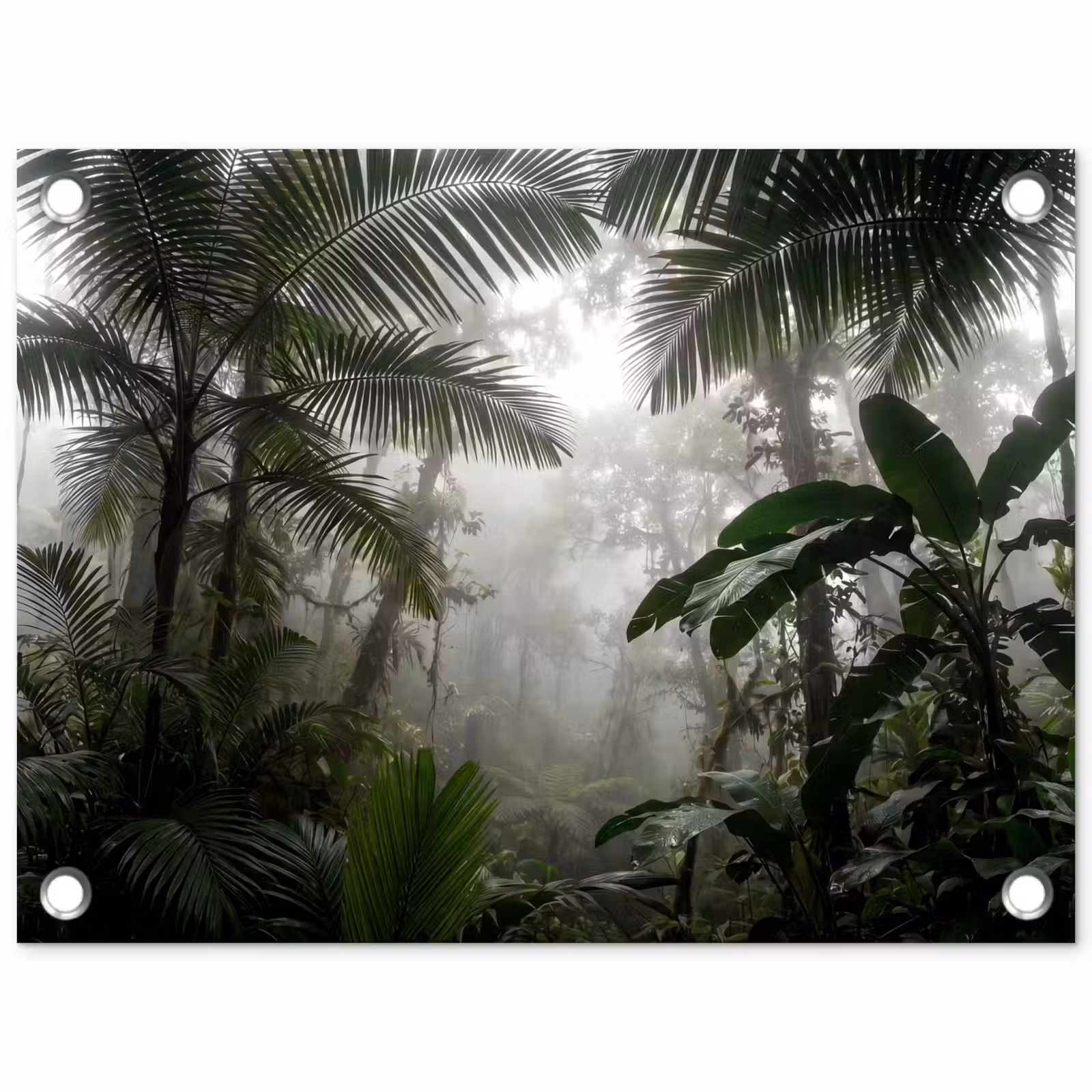 Tuinposter - Natuur - Jungle - Mist - Groen - Bladeren — 1