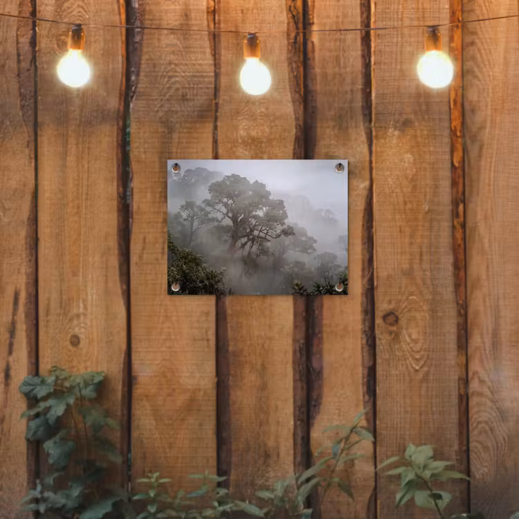 Tuinposter - Boom - Mistig - Bos - Groen - Natuur — 2