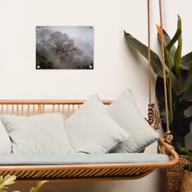 Tuinposter - Boom - Mistig - Bos - Groen - Natuur — 5