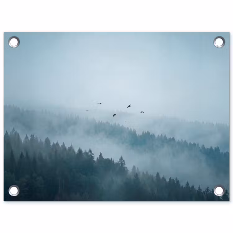 Tuinposter - Bos - Mist - Vogels - Natuur - Groen — 1