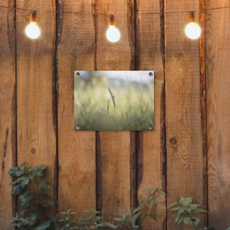 Tuinposter - Graan - Aar - Natuur - Groen - Detail — 2