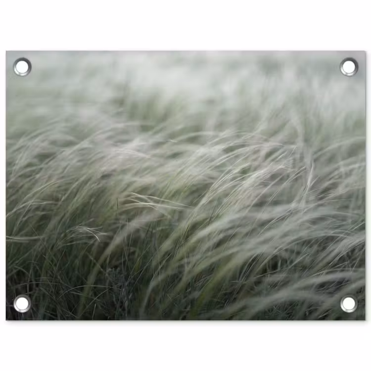 Tuinposter - Gras - Wazig - Natuur - Groen - Zacht — 1