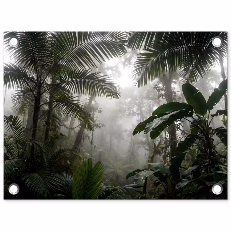 Tuinposter - Natuur - Jungle - Mist - Groen - Bladeren — 1