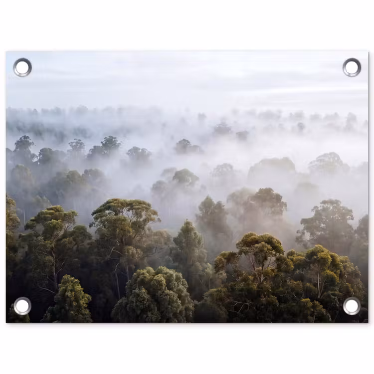 Tuinposter - Natuur - Mist - Bos - Ochtend - Goud — 1