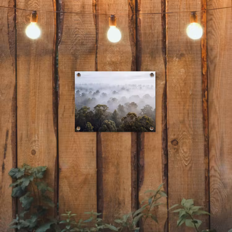 Tuinposter - Natuur - Mist - Bos - Ochtend - Goud — 2