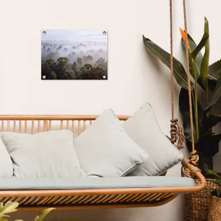 Tuinposter - Natuur - Mist - Bos - Ochtend - Goud — 5
