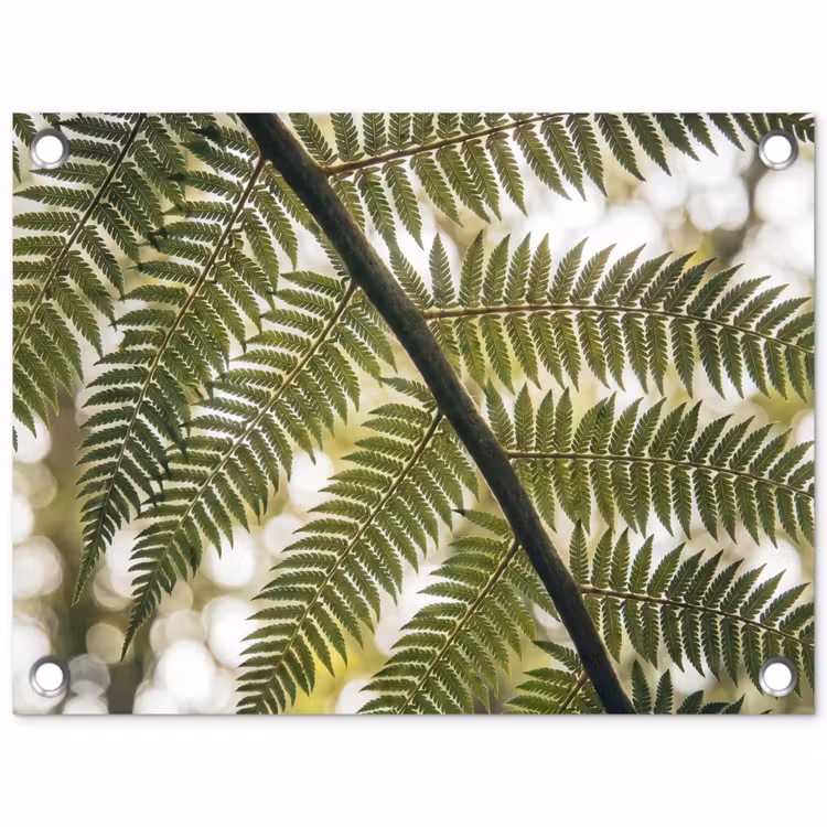 Tuinposter - Plant - Blad - Natuur - Groen - Detail — 1
