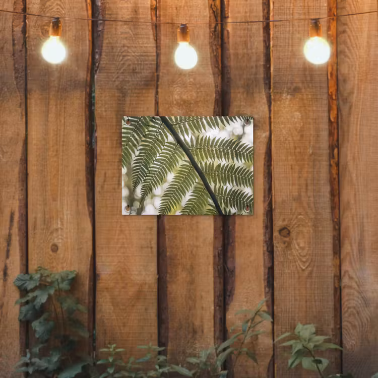 Tuinposter - Plant - Blad - Natuur - Groen - Detail — 2
