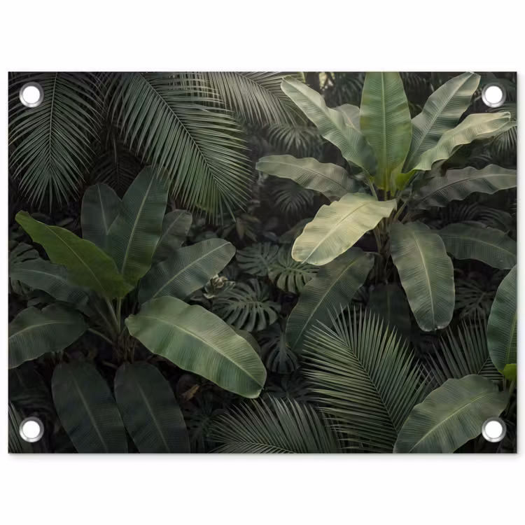 Tuinposter - Bladeren - Groen - Tropisch - Natuur — 1