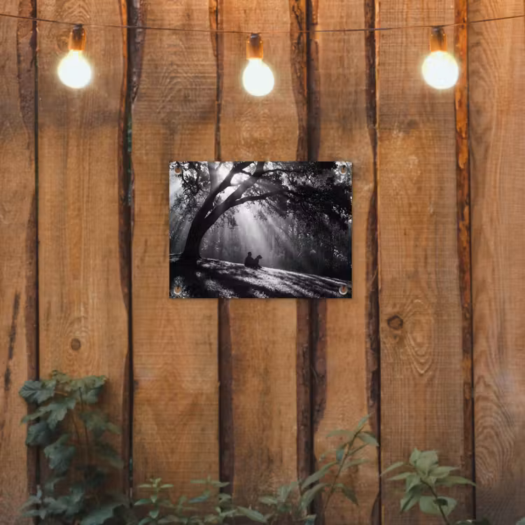 Tuinposter - Mens - Hond - Natuur - Zwart-wit - Silhouet — 2