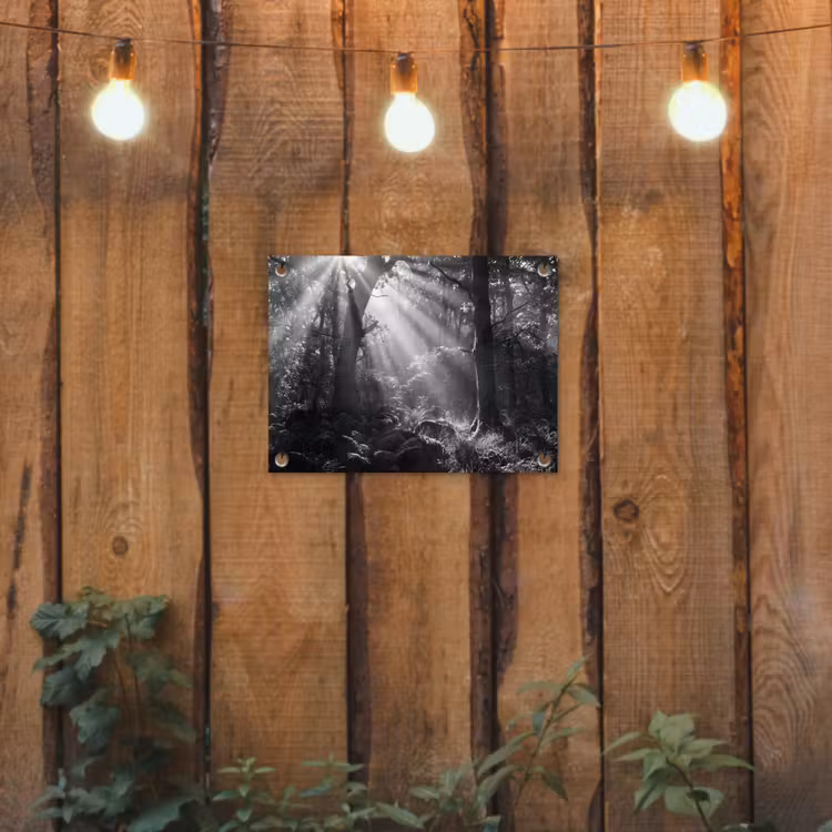 Tuinposter - Bos - Lichtstralen - Natuur - Zwart-wit — 2