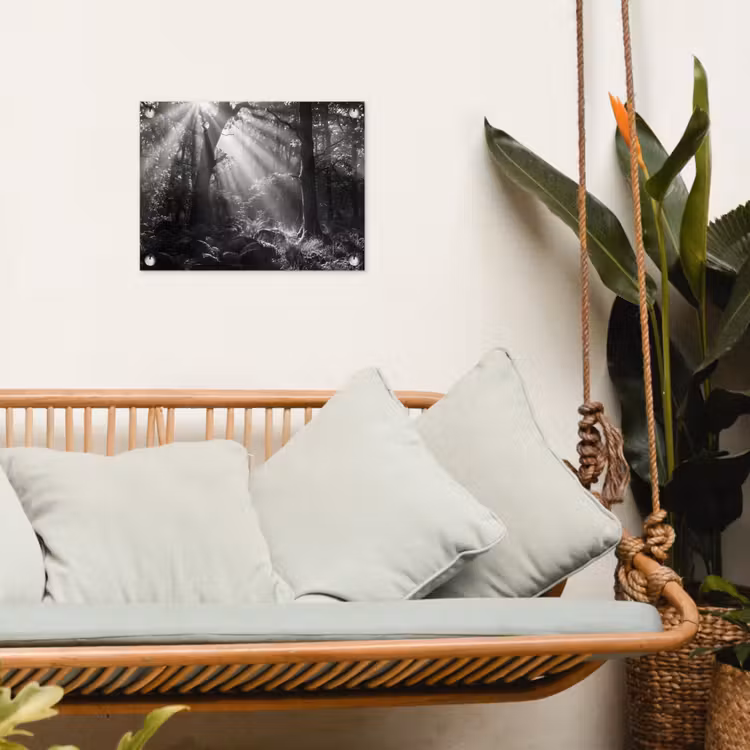 Tuinposter - Bos - Lichtstralen - Natuur - Zwart-wit — 5