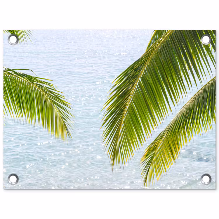 Tuinposter - Boom - Bladeren - Water - Tropisch - Groen — 1