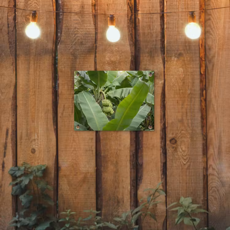 Tuinposter - Eten - Bananen - Plantage - Groen — 2