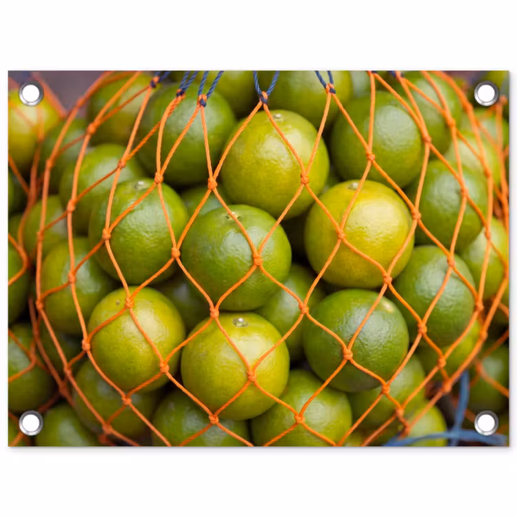 Tuinposter - Eten - Net - Groen - Markt — 1