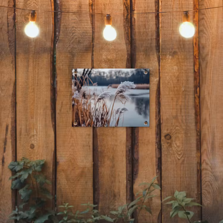 Tuinposter - Riet - Gras - Natuur - Winter - Meer — 2