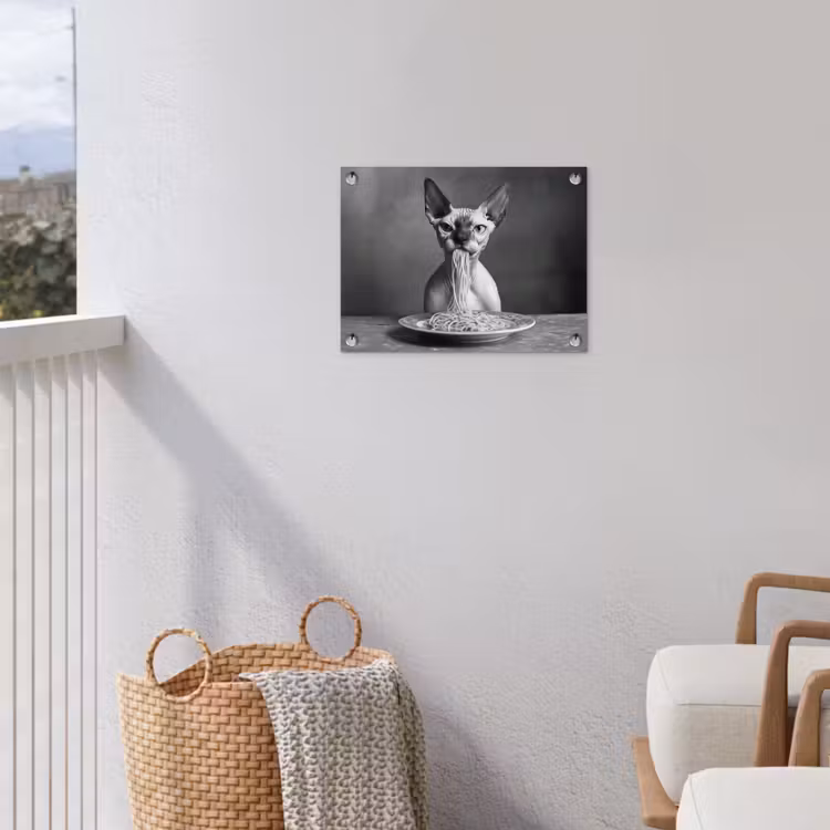 Tuinposter - Sphynx - Kat - Dieren - Humor - Spaghetti - Zwart Wit — 3