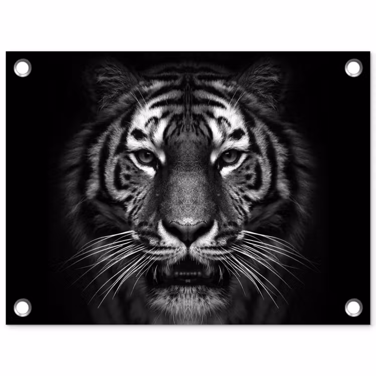 Tuinposter - Tijger in het zwart-wit — 1