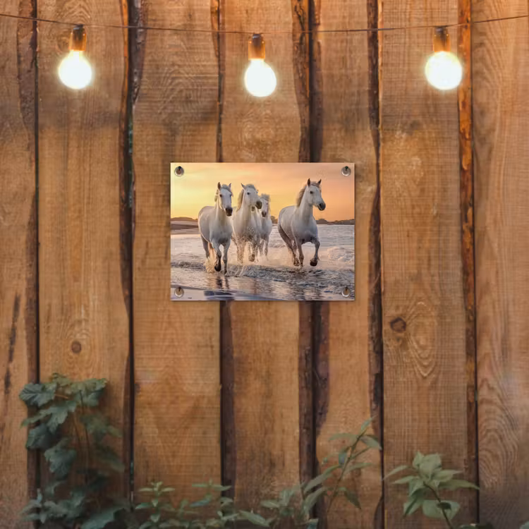 Tuinposter - Witte paarden galopperen langs de kust — 2