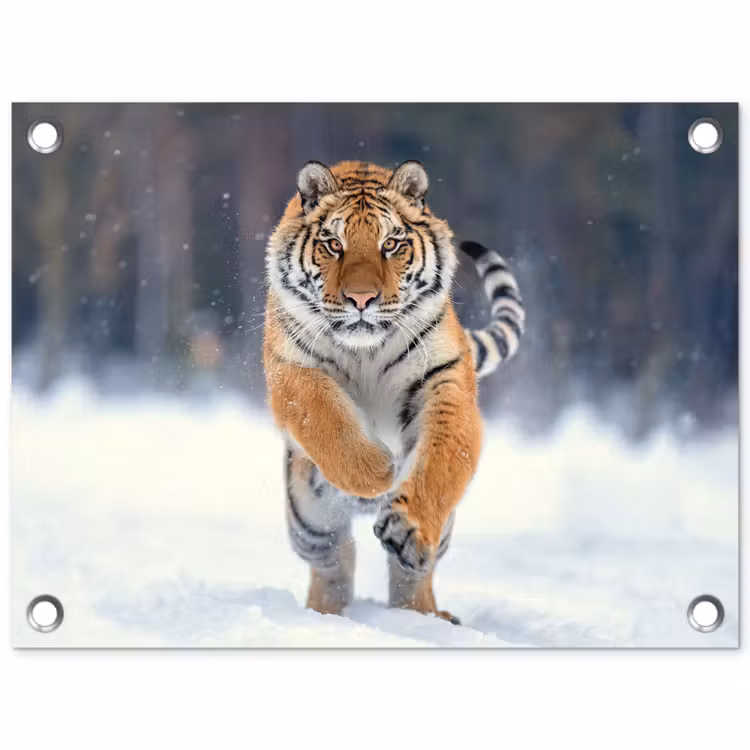 Tuinposter - Tijger - Landschap - Sneeuw - Winter - Dieren — 1
