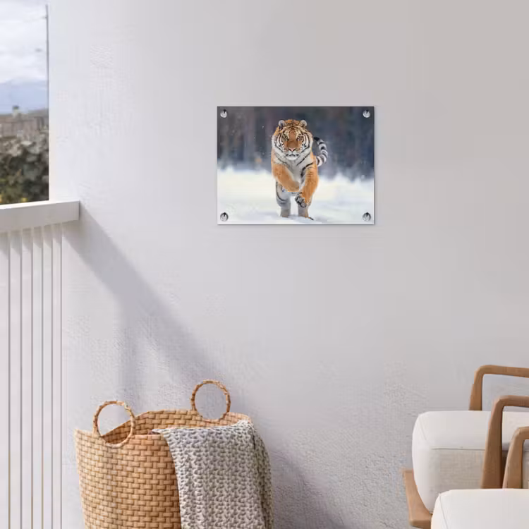 Tuinposter - Tijger rennend door de sneeuw — 3