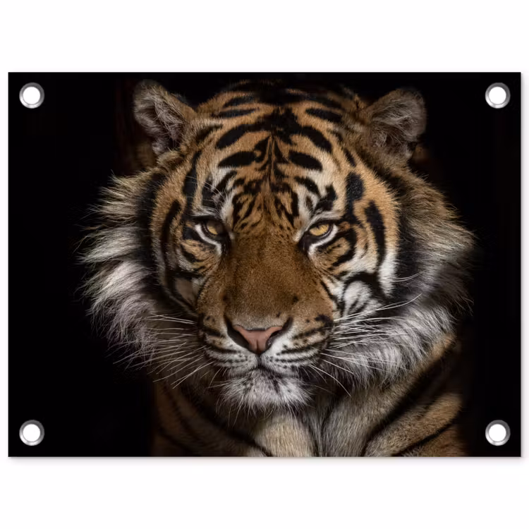 Tuinposter - Tijger - Wilde dieren - Portret — 1