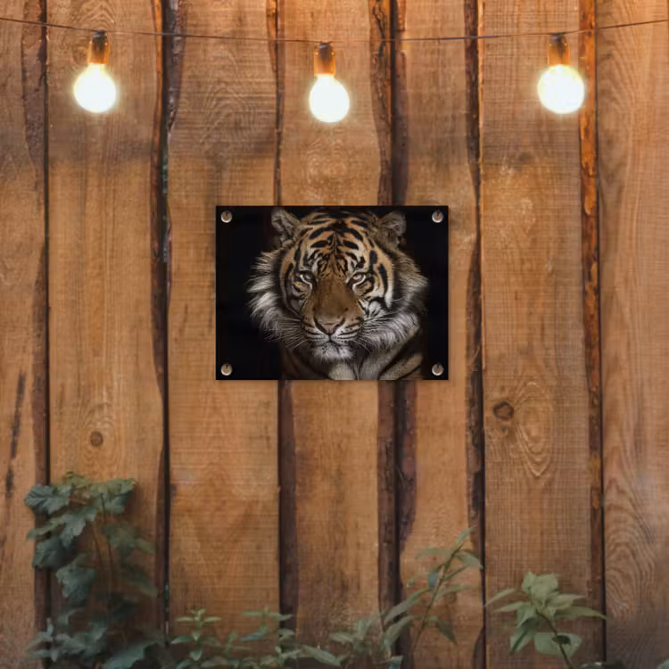 Tuinposter - Tijger - Wilde dieren - Portret — 2