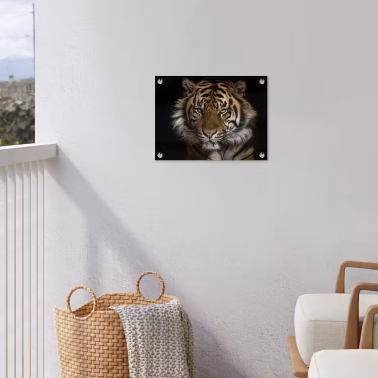 Tuinposter - Tijger - Wilde dieren - Portret — 3