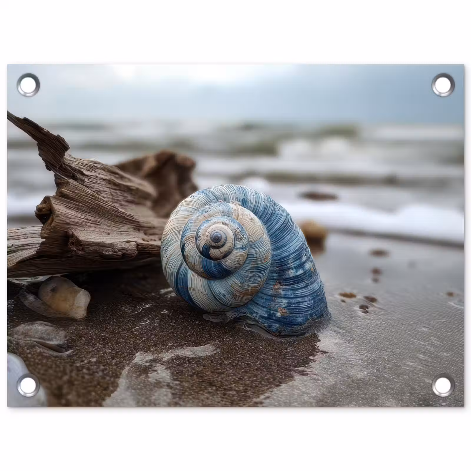 Tuinposter - Schelp - Strand - Blauw - Zee — 1