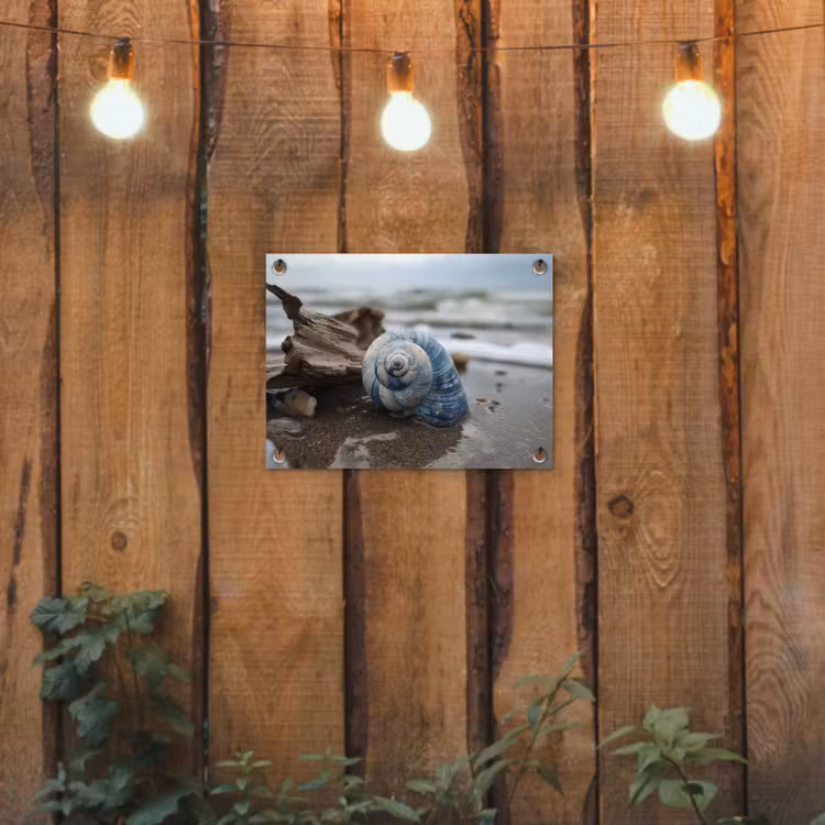 Tuinposter - Schelp - Strand - Blauw - Zee — 2