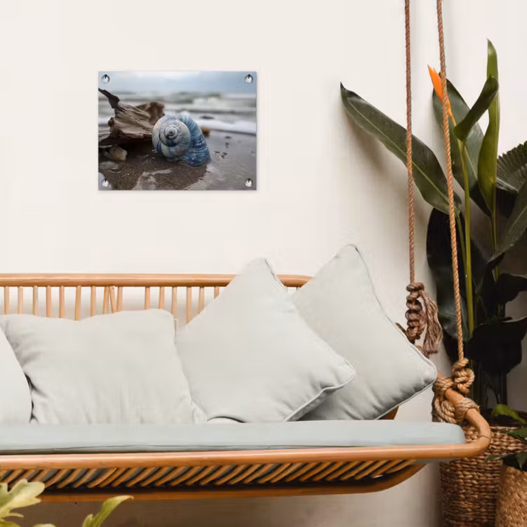 Tuinposter - Schelp - Strand - Blauw - Zee — 5