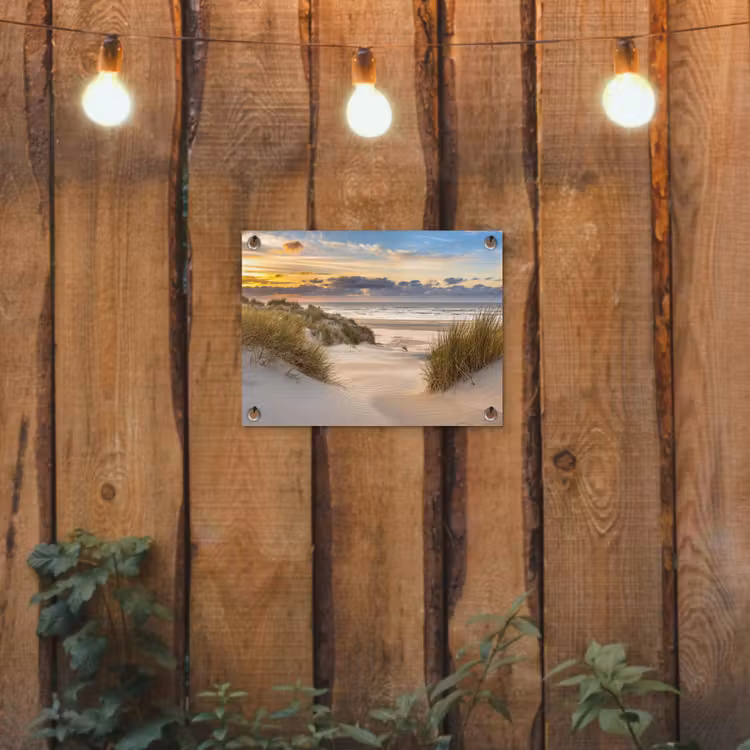 Tuinposter - Strand - Duin - Gras - Zonsondergang - Zee — 2