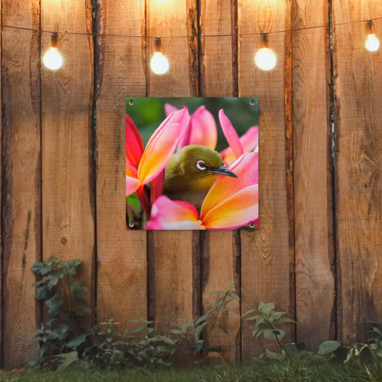 Tuinposter - Tropische vogel tussen roze bloem — 2