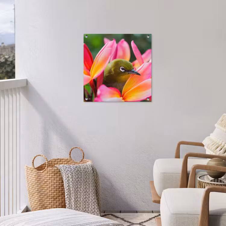 Tuinposter - Tropische vogel tussen roze bloem — 3