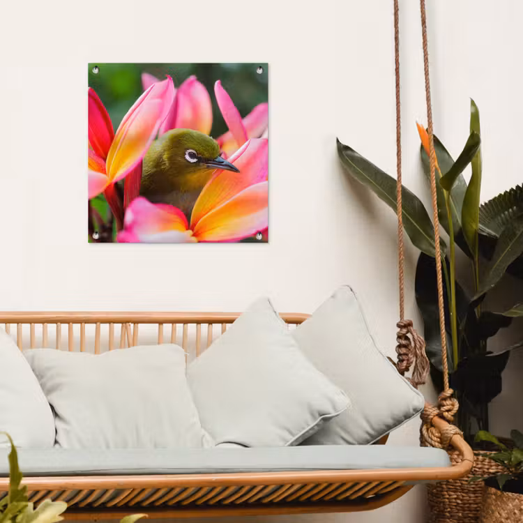 Tuinposter - Tropische vogel tussen roze bloem — 5