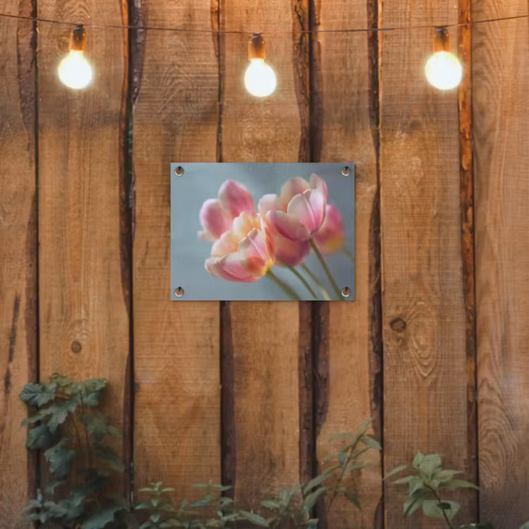 Tuinposter - Tulpen - Roze - Stelen — 2