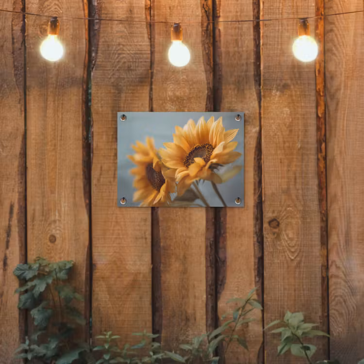 Tuinposter - Zonnebloemen - Geel - Wazig — 2