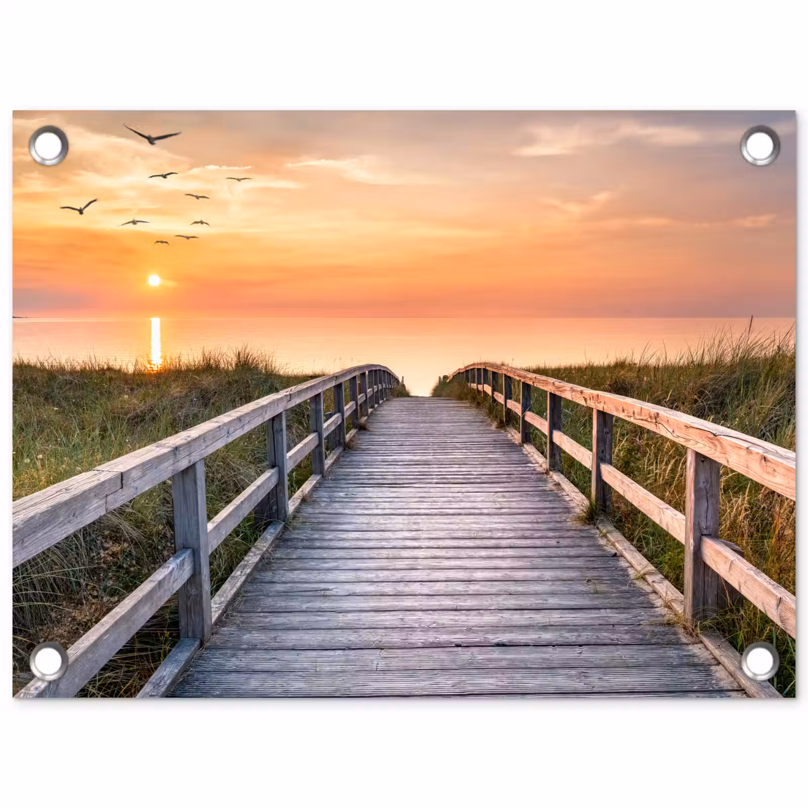 Tuinposter - Zonsondergang over de Duinen — 1