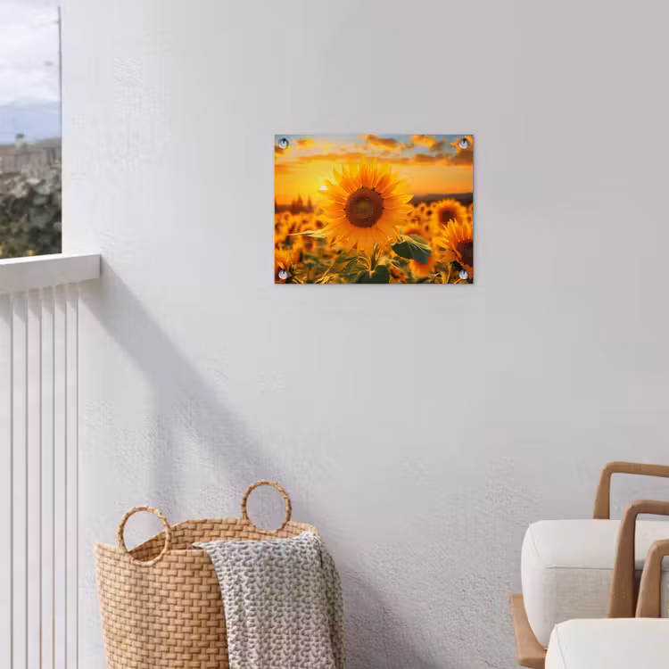 Tuinposter - Zonnebloem in de avondzon — 3