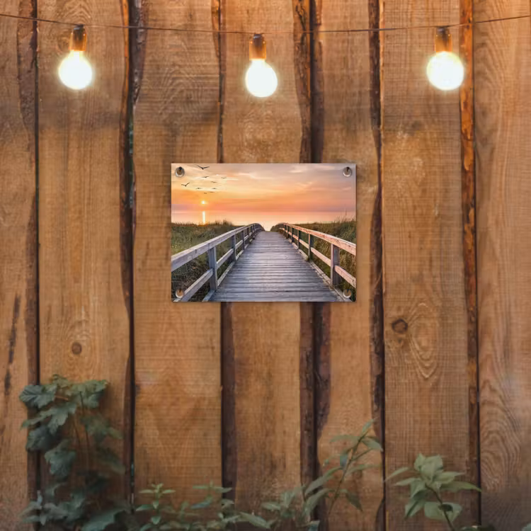 Tuinposter - Zonsonderang - Zee - Pad - Gras - Duin - Vogels — 2