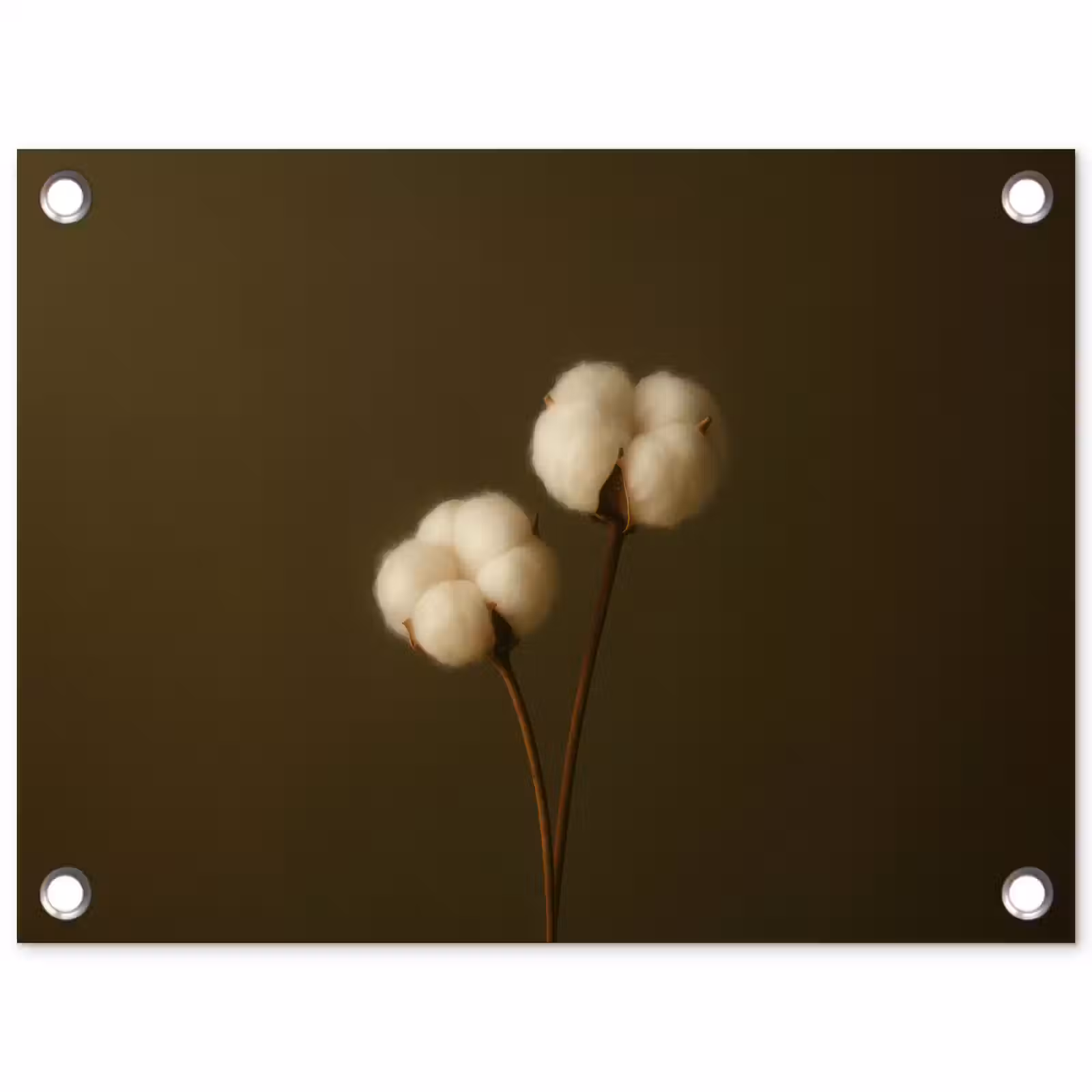 Tuinposter - Takken - Katoen - Wit - Bollen — 1