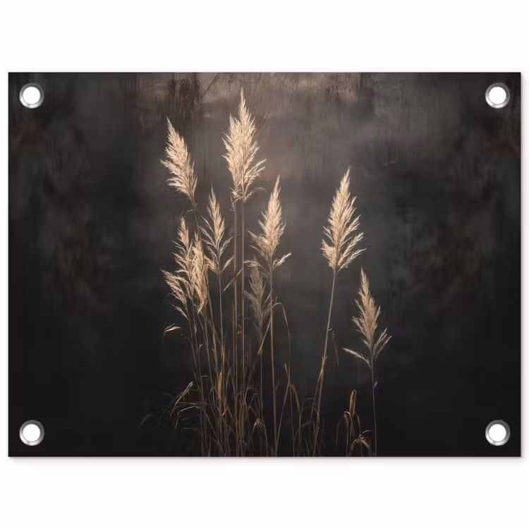 Tuinposter - Siergras - Pluimen - Verlichting - Zwart — 1