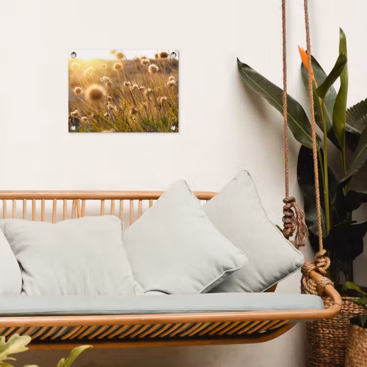 Tuinposter - Verlichte zaadhoofden in de avondzon — 5