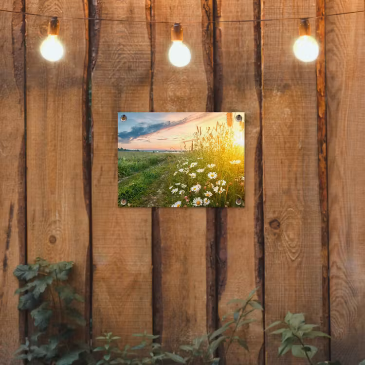 Tuinposter - Wilde bloemen in de ochtendzon — 2