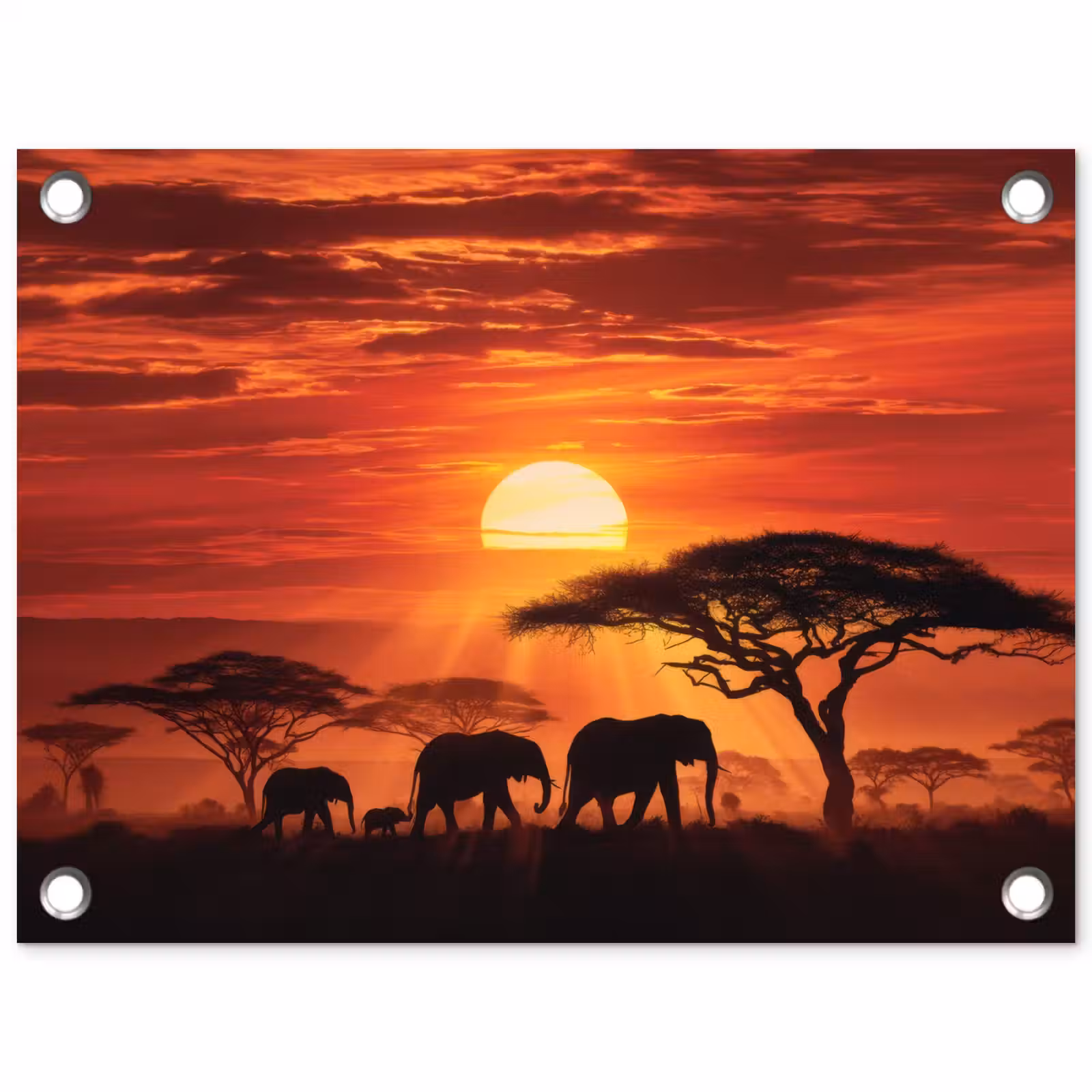 Tuinposter - Savanne - Olifanten - Zonsondergang — 1