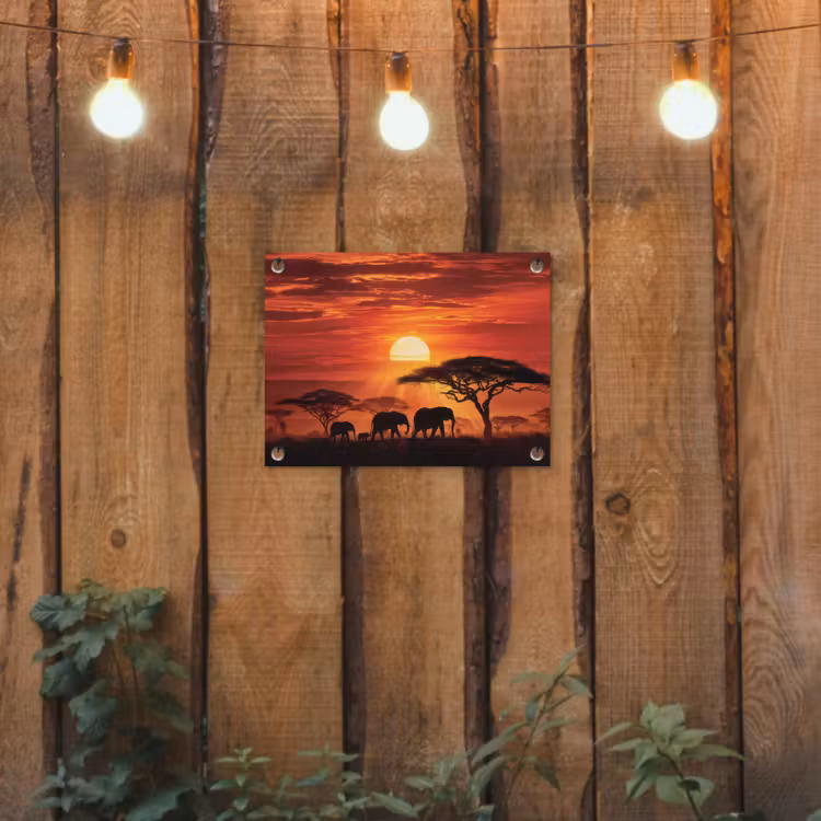 Tuinposter - Savanne - Olifanten - Zonsondergang — 2