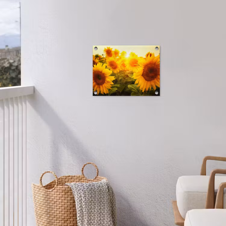 Tuinposter - Zonnebloemen in het zonlicht — 3