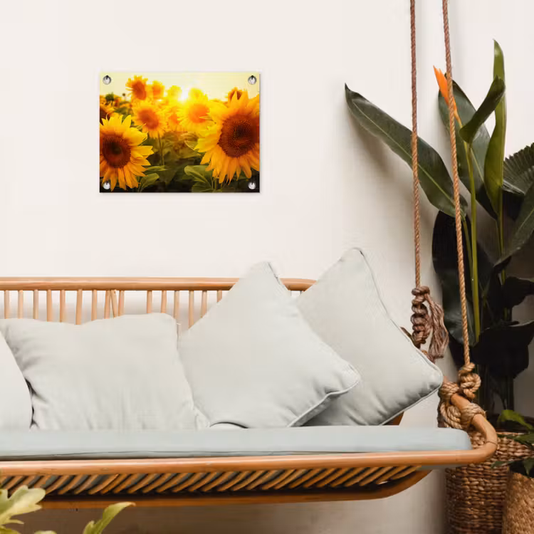 Tuinposter - Zonnebloemen in het zonlicht — 5