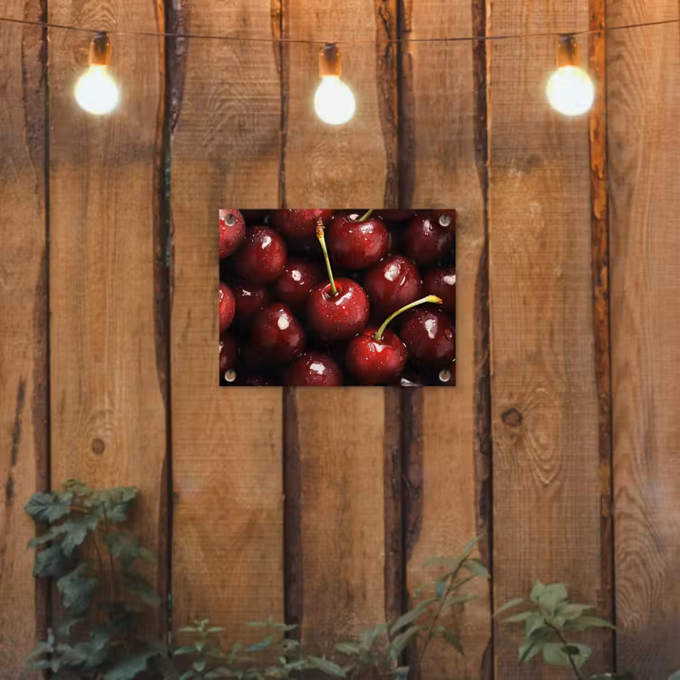 Tuinposter - Rood - Fruit - Kersen — 2