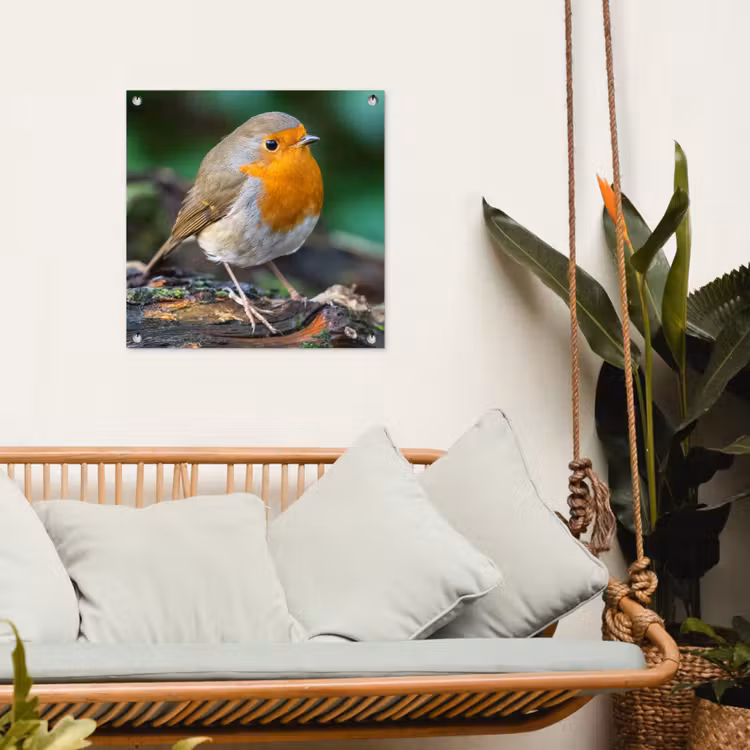 Tuinposter - Roodborstje op een Boomstam — 5